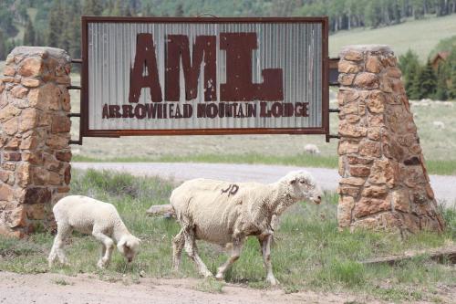 a couple of sheep walking in front of a sign at Arrowhead Mountain Lodge in Cimarron