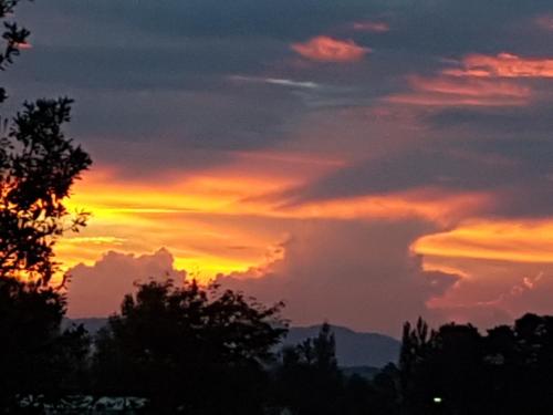 a sunset in the sky with trees in the foreground at The Nunnery in Te Aroha