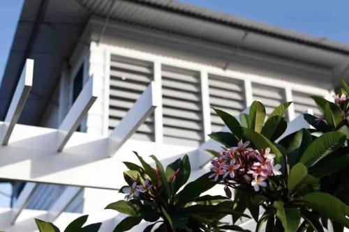 a white building with a plant in front of it at Serenity Beach Retreat in Casuarina
