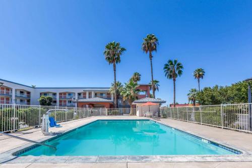 a swimming pool with palm trees and a building at Super 8 by Wyndham Bakersfield/Central in Bakersfield