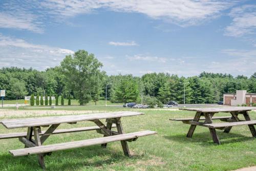 two picnic tables in a field with trees in the background at Super 8 by Wyndham Tomah Wisconsin in Tomah