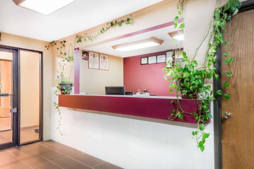 an office with a reception desk with plants on the wall at Super 8 by Wyndham Paris IL in Paris