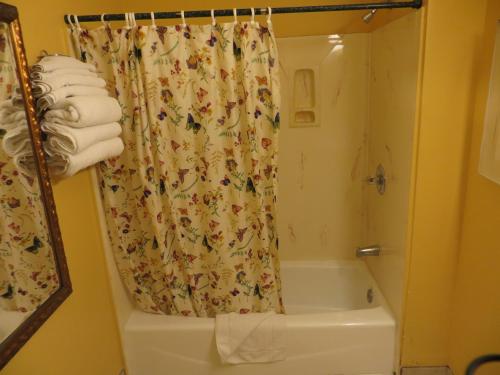 a bathroom with a shower curtain and a tub at Budget Inn Hollywood in Los Angeles