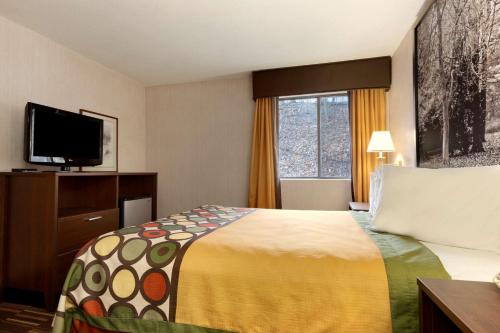 Habitación de hotel con cama y TV de pantalla plana. en Riverdale Inn, en Springfield