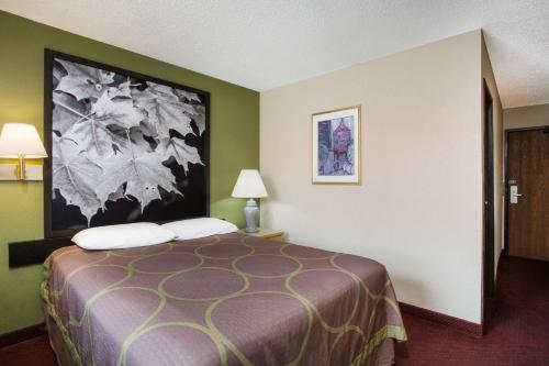 a hotel room with a bed and a painting on the wall at Super 8 by Wyndham Salem VA in Salem