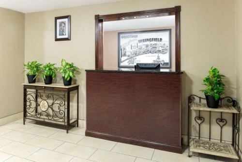 a reception desk with a mirror and two plants at Super 8 by Wyndham Springfield East in Springfield