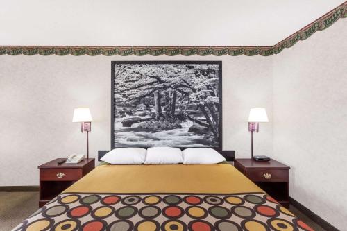 a bedroom with a bed with a painting on the wall at Super 8 by Wyndham Erwin, I-26 Exit 37 in Erwin