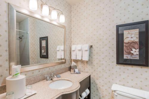 a bathroom with a sink, toilet and mirror at Wingate by Wyndham New Braunfels in New Braunfels