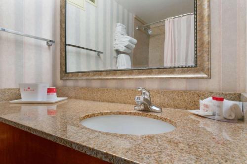a bathroom with a sink and a mirror at Ramada by Wyndham Bismarck in Bismarck