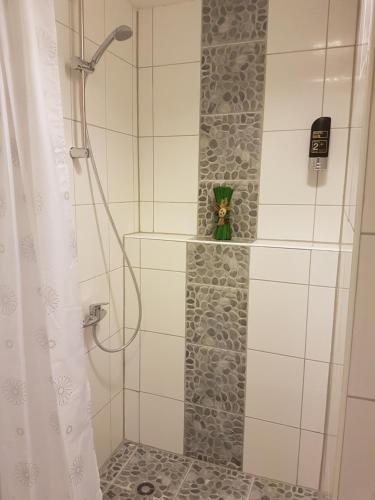 a bathroom with a shower with a shower curtain at Pension Reiter in Berlin
