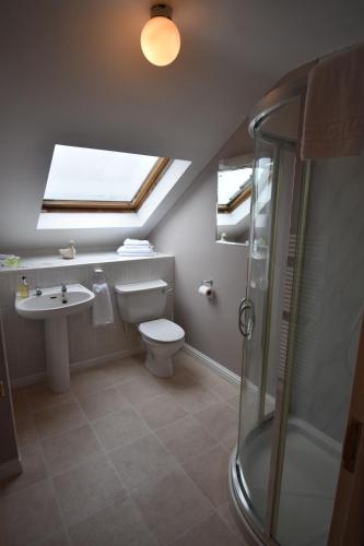 a bathroom with a toilet and a sink and a skylight at The Links Apartment Portrush in Portrush