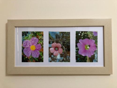 a framed picture of flowers on a wall at Leonidio Climb2red home in Leonidion