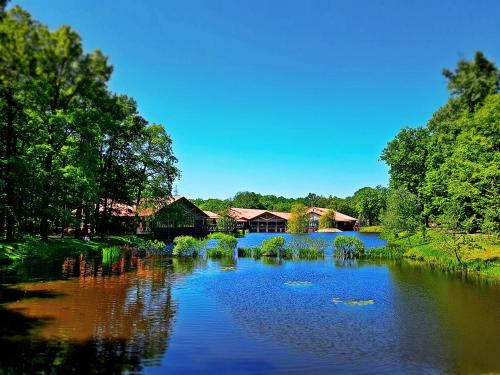 a river with houses and trees in the background at Stacja Nowa Gdynia Bed & Breakfast Aquapark in Łódź