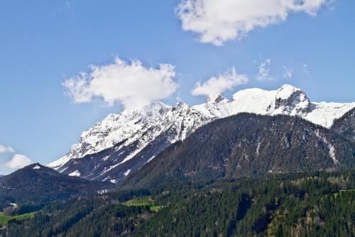 a snow covered mountain with trees in front of it at Appartement Klosterhügel in Haus im Ennstal