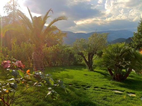 a garden with palm trees and mountains in the background at Villa Cyriel in Contes
