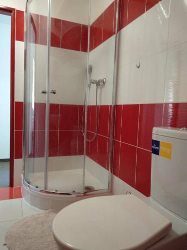 a bathroom with a toilet and a shower with red and white tiles at Rodinné vinařství Mikulenkovi in Žernoseky