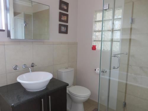 a bathroom with a toilet and a sink and a shower at Rose and Ale Self Catering Units in Gonubie