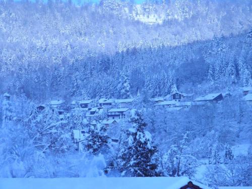a village covered in snow on a mountain at Alb Hotel Schalksburg in Albstadt