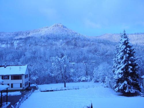 a house and a tree with a mountain in the background at Alb Hotel Schalksburg in Albstadt