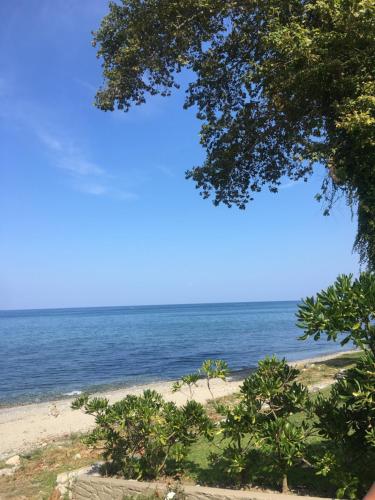 Gallery image of Platamon beach house in Platamonas