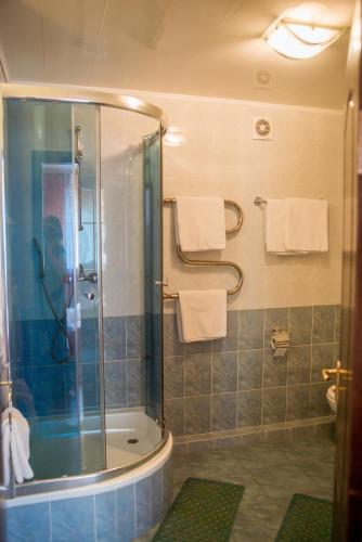 a bathroom with a shower with a glass shower stall at Dniprovski Zori in Kremenchuk