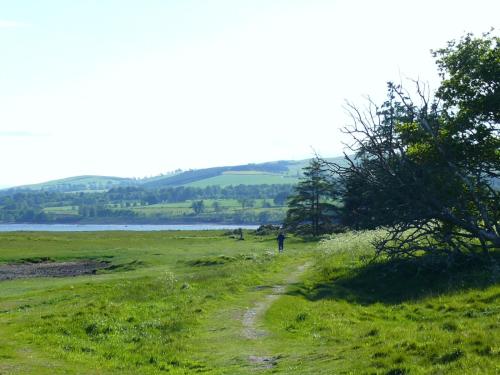 a person walking down a path in a field at Kiltearn Guest House in Evanton
