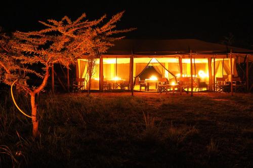 a tent at night with a tree in the foreground at Basecamp Wilderness in Naboisho