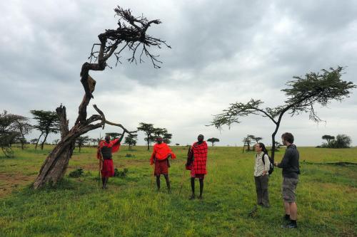 a group of people standing next to a tree at Basecamp Wilderness in Naboisho