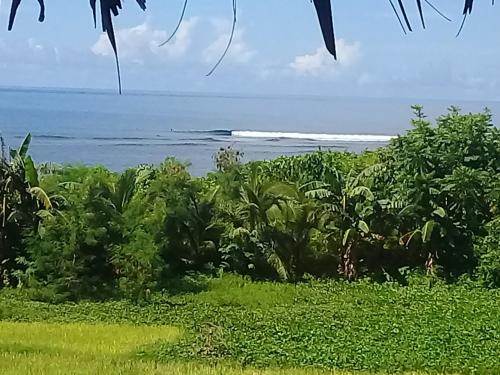 a view of the ocean from the jungle at JoSurfInn, Puraran Beach in Baras