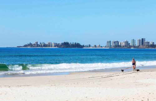 a woman walking her dog on the beach at Sandbox Apartments in Gold Coast