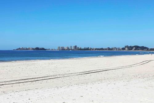 a sandy beach with a city in the background at Sandbox Apartments in Gold Coast
