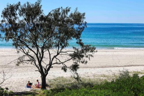two people sitting under a tree on the beach at Sandbox Apartments in Gold Coast