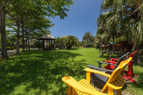 a row of yellow and red chairs in a park at Sheep House B&B in Jian
