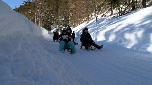 a group of people riding in a sleigh in the snow at Berggasthof Obere Firstalm in Schliersee