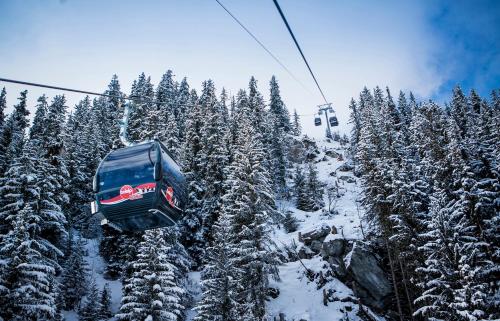 a gondola flying over a snow covered mountain at Augusta in Belalp