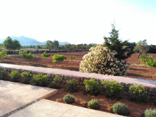 a garden with a retaining wall and plants at son capellot in Felanitx