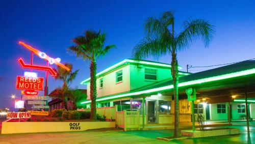 a motel with palm trees and a neon sign at Budget Inn of Avon Park in Avon Park