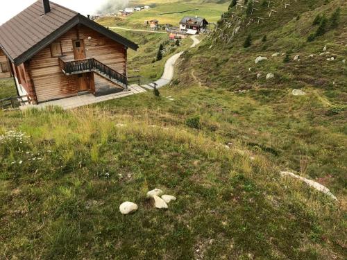 two teddy bears laying in the grass next to a cabin at Farfalla in Blatten bei Naters
