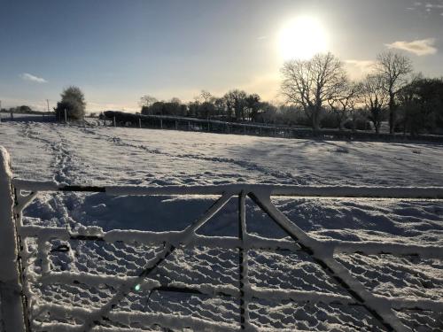 a fence in a field covered in snow at Annslea in Lisburn