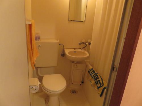 a small bathroom with a toilet and a sink at Hostel Hakuseiso in Naha