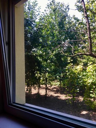Κήπος έξω από το Balatonalmádi Apartmanház