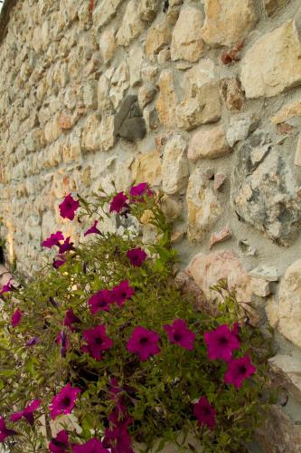 a bunch of purple flowers in a stone wall at Villa di Cazzano - BioLuxury Living in Soave