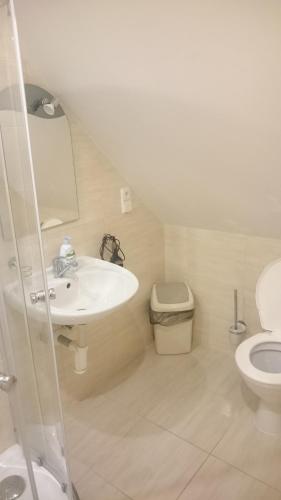 a bathroom with a sink and a toilet at Pension Harcovna in Frýdlant nad Ostravicí