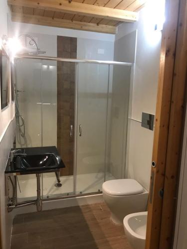 a bathroom with a shower and a toilet and a sink at Decadracma rooms in Syracuse