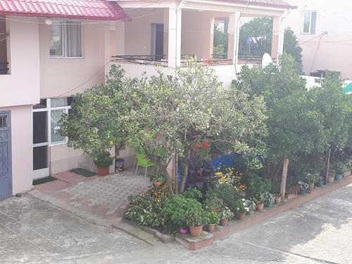 a row of trees and plants in front of a house at Guest House Roman/Gonio in Gonio
