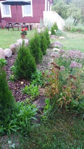 a garden with bushes and flowers in a yard at Brīvdienu māja Skerškāni in Krāslava