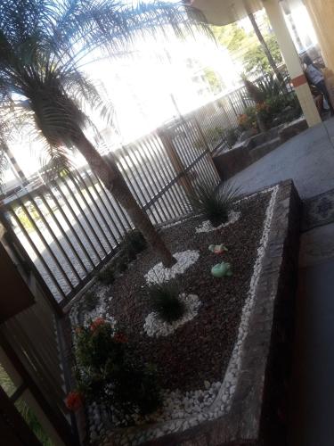 a garden with a palm tree and a fence at Edificio caminho do sol in Arraial do Cabo