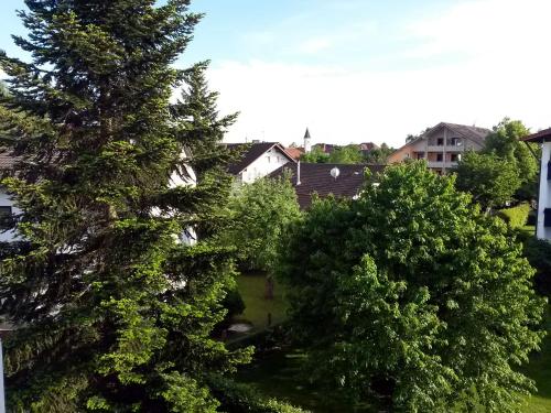 a large tree in a yard next to houses at Kurhotel Anders in Bad Füssing