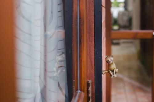 a small cat is on a door handle at Narra House Sukhumvit58 in Bangkok
