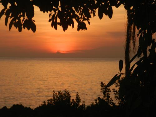 a sunset over the ocean with a tree at Ocean View Sai in San Andrés
